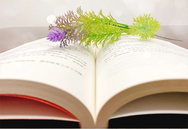 最美人間四月天，唯有讀書(shū)不可負(fù) 2020年4月23日